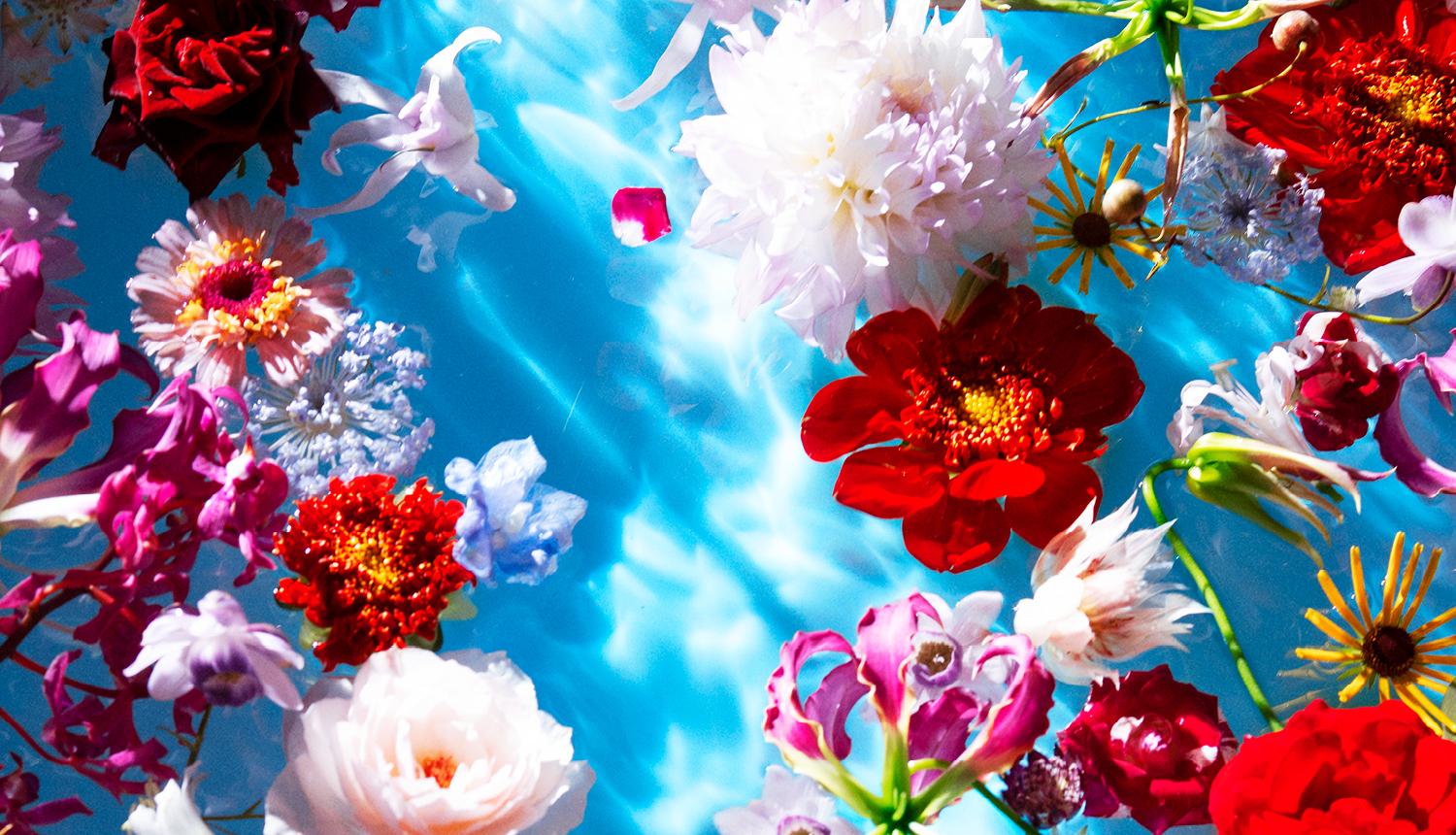 Normandie Impressionniste revient du 29 mai au 27 septembre 2026 !