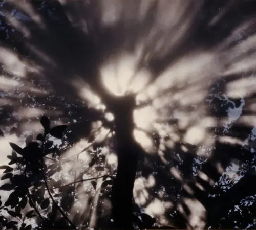 Fujiko Nakaya – Fog Tree #07031, Honfleur