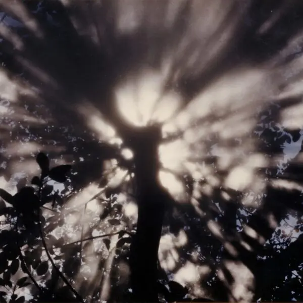 Fujiko Nakaya – Fog Tree #07031, Honfleur