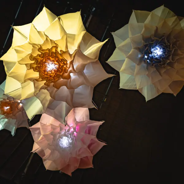 DRIFT – Meadow, hanging garden