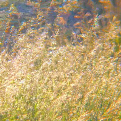 Jacques Perconte – À fleur de mer