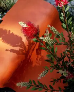 Centre photographique Rouen Normandie – Jardin d’été