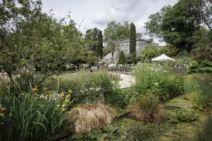 Du jardin au cyanotype au Jardin des Plantes de Rouen