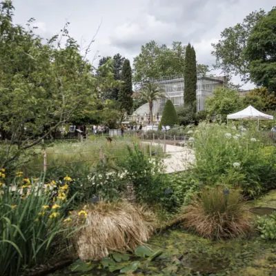 Du jardin au cyanotype au Jardin des Plantes de Rouen