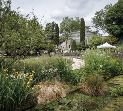 From the garden to cyanotype at the Rouen Botanical Garden
