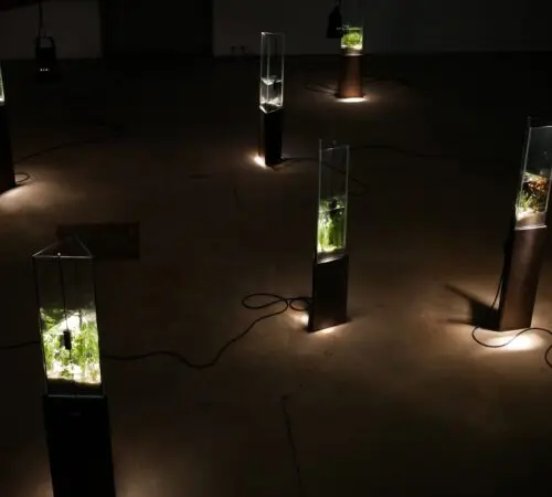 Clément Davout et Léo Fourdrinier – La vague irrésolue – Un jardin sonore