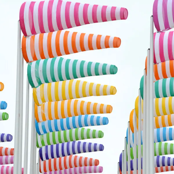 Daniel Buren – Plantations, travaux in situ, 2026