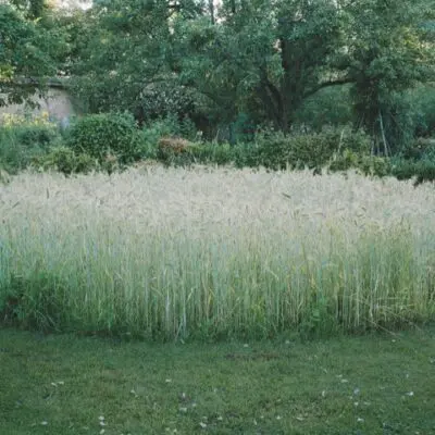 Fabriquer un jardin