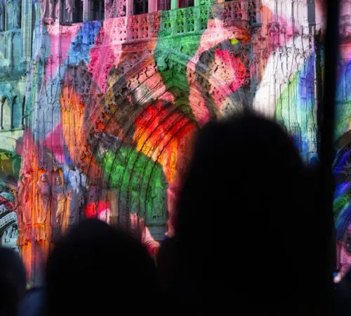 Mika Ninagawa – Projection « Cathédrale de lumière » Floraison Sauvage