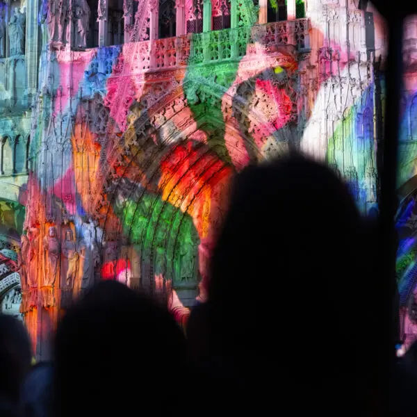 Mika Ninagawa – Projection « Cathédrale de lumière » Floraison Sauvage
