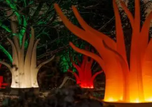Anne Coulon et Philippe Davenet – Lumières vibrantes