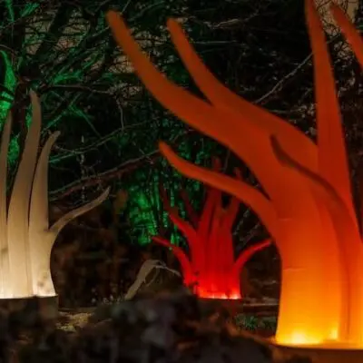 Anne Coulon et Philippe Davenet – Lumières vibrantes