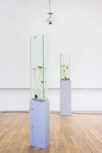 Clément Davout et Léo Fourdrinier – La Vague irrésolue (Nymphéa)