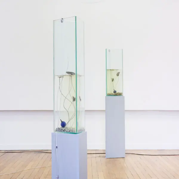 Clément Davout and Léo Fourdrinier – The Unresolved Wave (Nymphéa)
