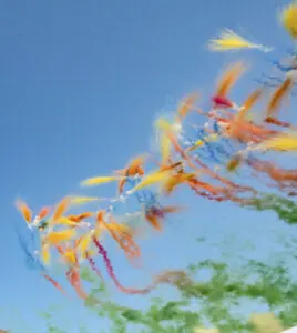 Cai Guo-Qiang – Radiance of Spring : Sky Painting for Normandie Impressionniste