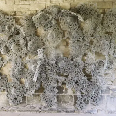 Les jardins en dialogue : Art contemporain à Lyons-la-Forêt