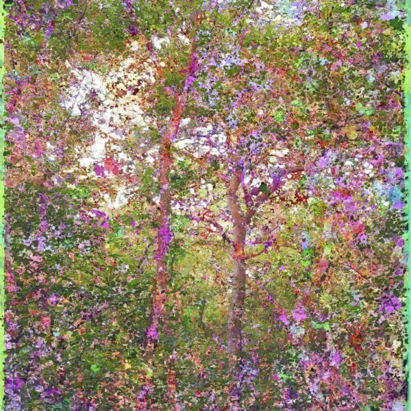 Jacques Perconte – À fleur de forêt