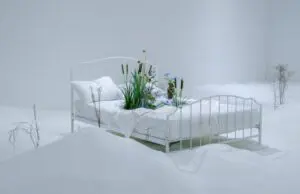 Bianca Bondi, The Antechamber (Tundra swan), 2020, The Busae Biennale, Cur. Jacob Fabricius, Busan, KR.