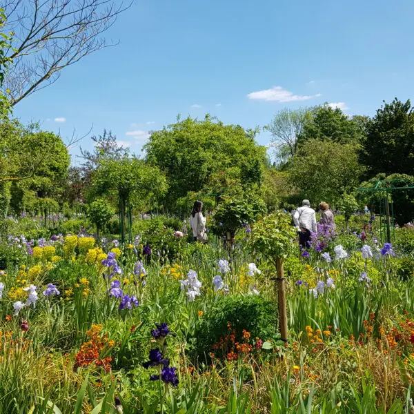 Normandy country gardens