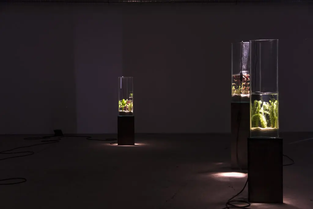 Clément Davout & Léo Fourdrinier La vague irrésolue, Le Confort Moderne © Adagp, Paris, 2018