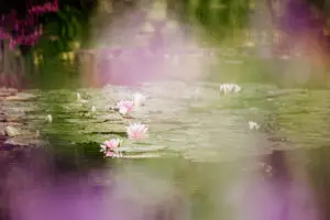 Parcours de Claude Monet, en couple