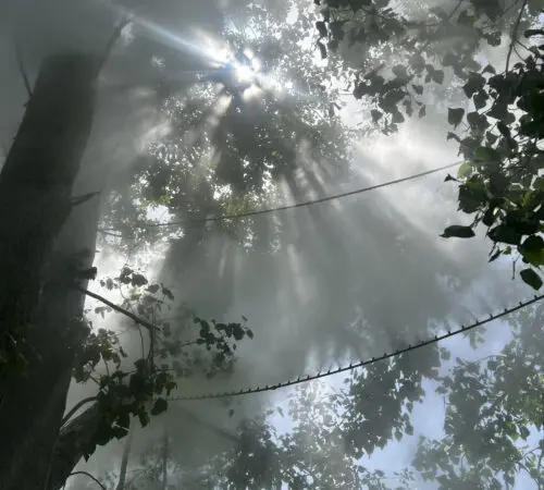 Fujiko Nakaya – Fog Tree #07031, Honfleur