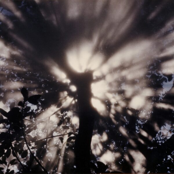 Fujiko Nakaya – Fog Tree Honfleur #07031
