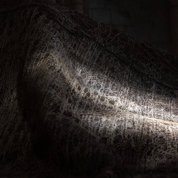 Diana Scherer – The Light in the Nets
