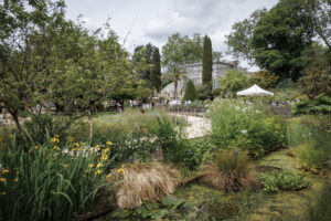 Du jardin au cyanotype au Jardin des Plantes de Rouen