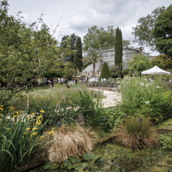 Du jardin au cyanotype au Jardin des Plantes de Rouen