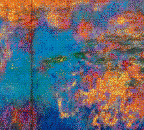 Ai Weiwei – Water Lilies