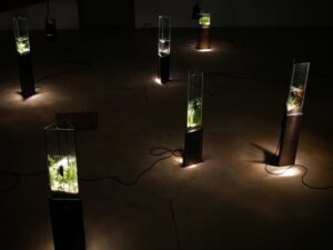Clément Davout et Léo Fourdrinier – La vague irrésolue – Un jardin sonore