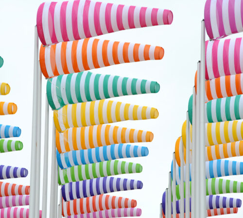 Daniel Buren – Plantations, travaux in situ, 2026