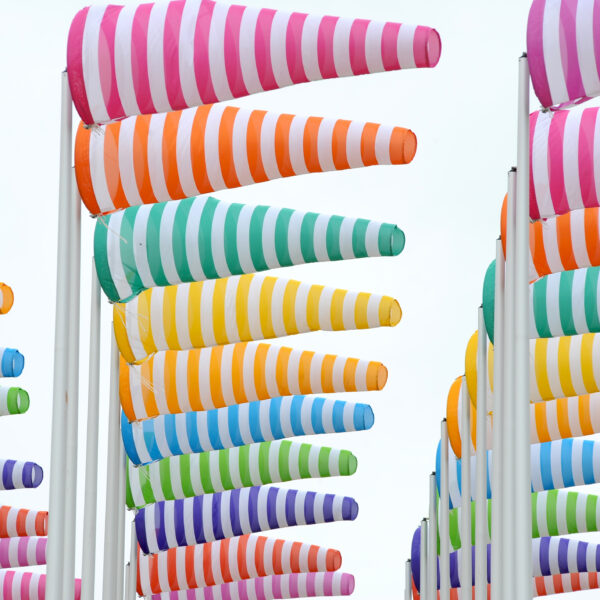 Daniel Buren – Plantations, travaux in situ, 2026