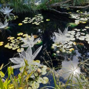 Daniela Capaccioli – Le monde flottant de Claude Monet