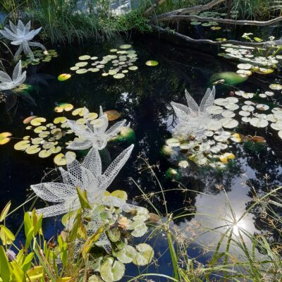 Daniela Capaccioli – Le monde flottant de Claude Monet