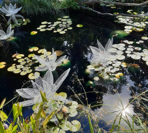 Daniela Capaccioli – Le monde flottant de Claude Monet