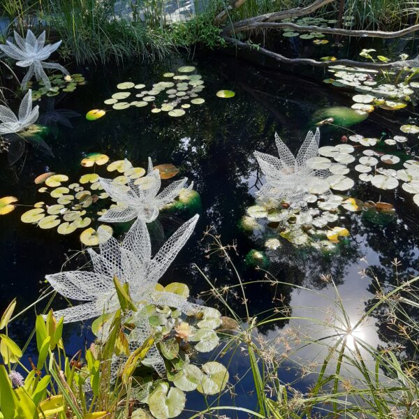 Daniela Capaccioli – Le monde flottant de Claude Monet