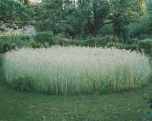 Fabriquer un jardin