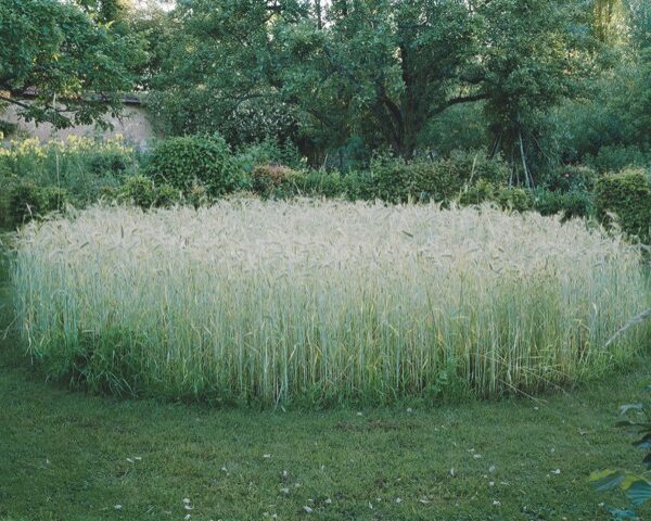Fabriquer un jardin