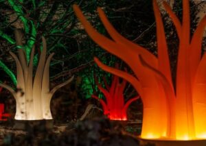 Anne Coulon et Philippe Davenet – Lumières vibrantes