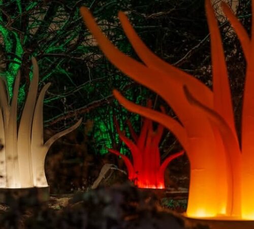 Anne Coulon et Philippe Davenet – Lumières vibrantes