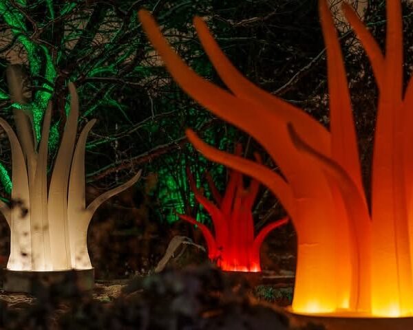 Anne Coulon et Philippe Davenet – Lumières vibrantes