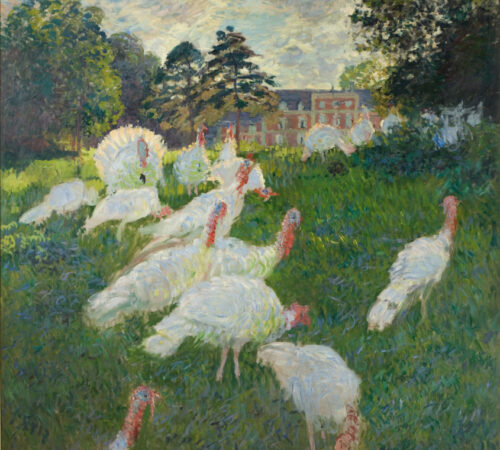 Impressions végétales – Les zoziaux de Monet