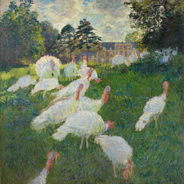 Impressions végétales – Les zoziaux de Monet