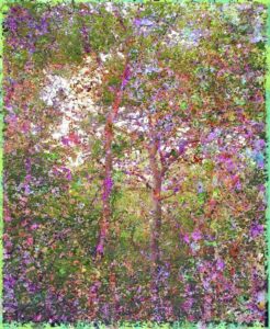 Jacques Perconte – À fleur de forêt