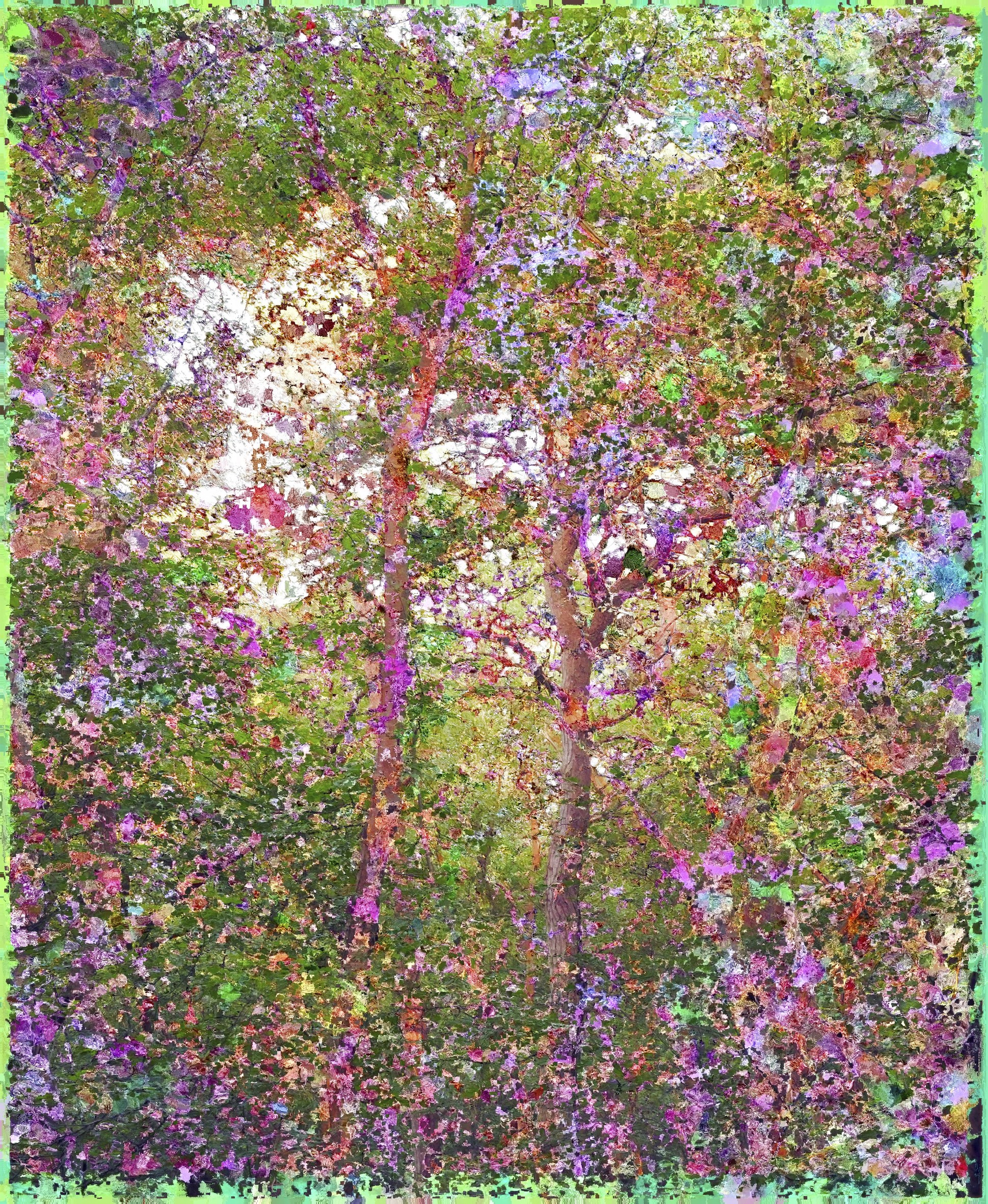 Jacques Perconte – À fleur de forêt