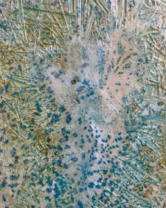 Chloé Jeanne, Peinture soluble