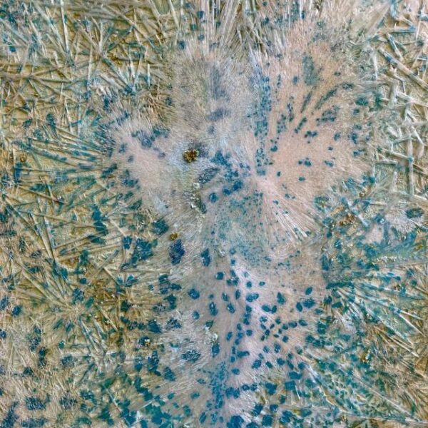Chloé Jeanne, Peinture soluble