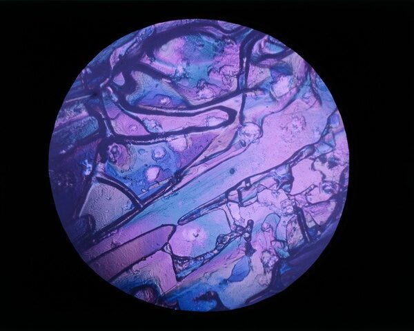 Léon Gimpel, Hyposulfite de soude, microphotographie en lumière polarisée, 1912